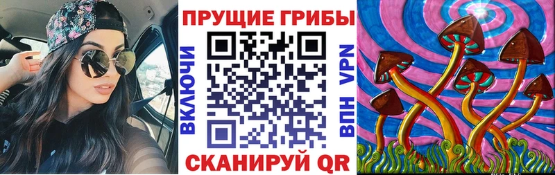 Псилоцибиновые грибы Psilocybine cubensis  Калтан 